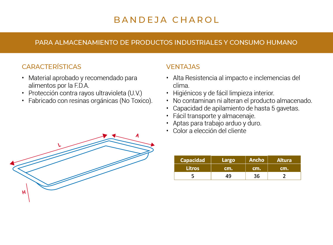 Bandejas charol - Imagen 3
